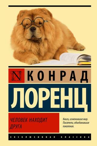 Человек находит друга