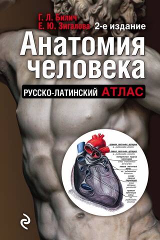 Human Anatomy: Russian-Latin Atlas
