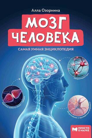 Мозг человека. Самая умная энциклопедия