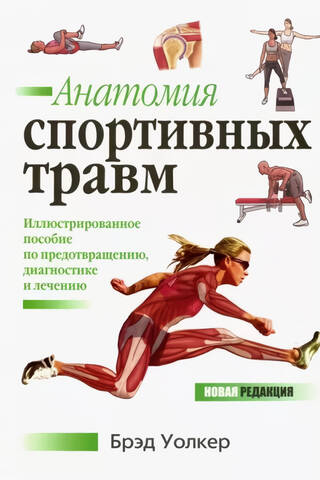 Анатомия спортивных травм
