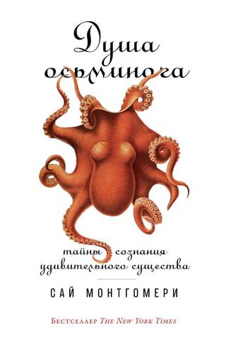 Душа осьминога: Тайны сознания удивительного существа