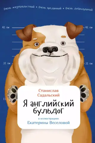 Я английский бульдог