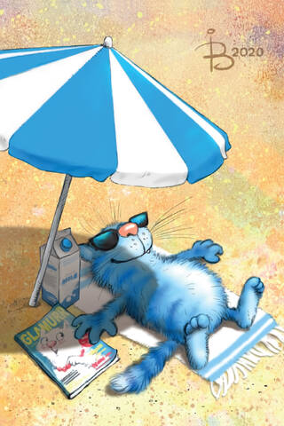 Postcard. Blue cats. Cat on the beach.