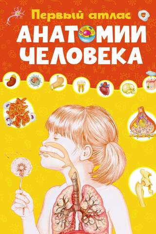 Первый атлас анатомии человека