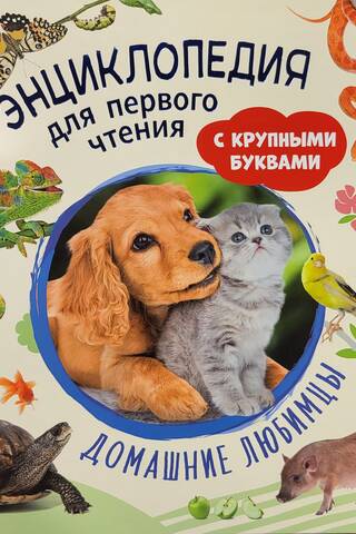 Pets: A First-Time Reader's Encyclopedia in Large Letters