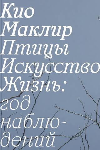 Птицы, искусство, жизнь: год наблюдений