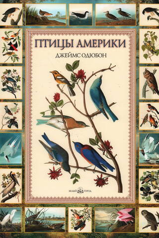 Птицы Америки