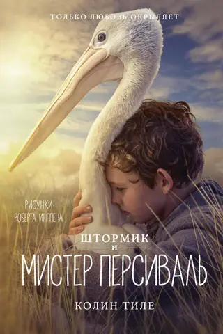 Штормик и мистер Персиваль