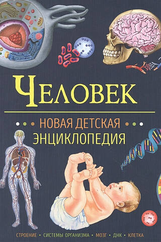 Человек. Новая детская энциклопедия