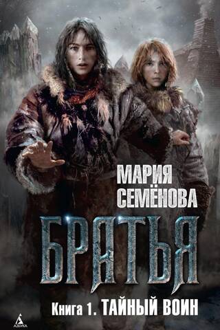 Братья. Книга 1. Тайный воин