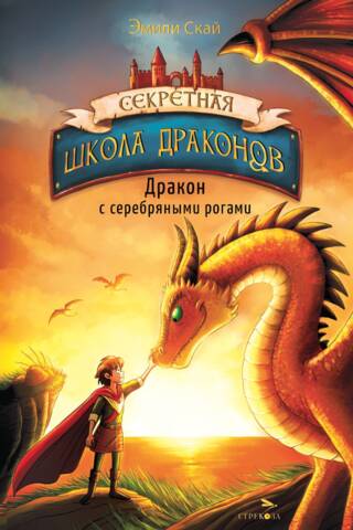 Секретная школа драконов. Книга 2. Дракон с серебряными рогами
