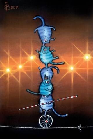 Postcard. Blue cats. Circus cats.
