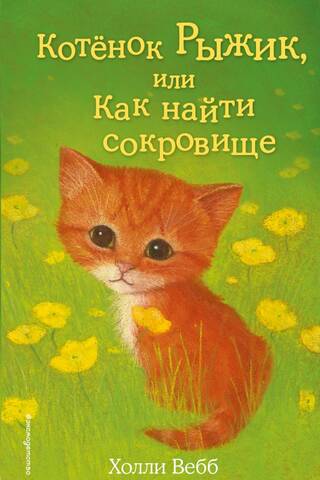 Котенок Рыжик, или Как найти сокровище