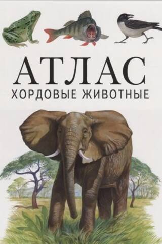 Chordates. Atlas