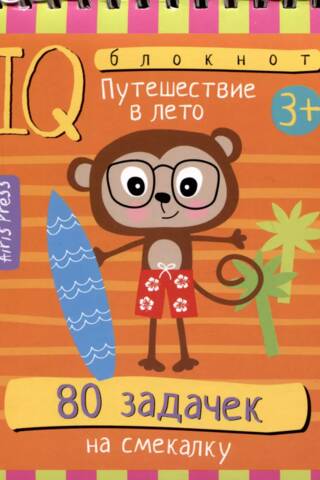 Smart Notebook. 80 Brain Teasers. Summer Journey.