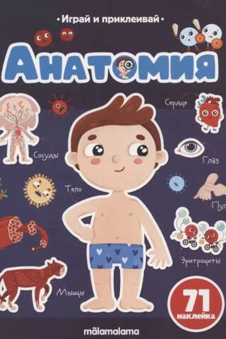 Anatomy