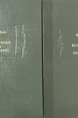Божественная книга (Илахи-наме). В 2 томах