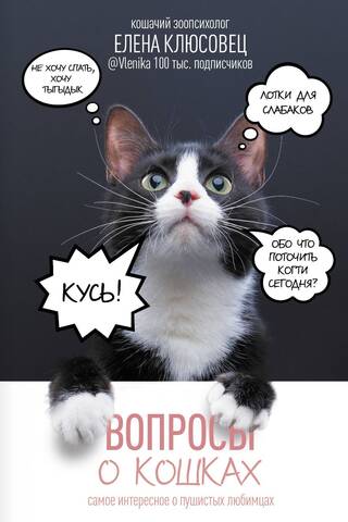 Вопросы о кошках. Самое интересное о пушистых любимцах