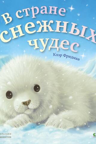 В стране снежных чудес