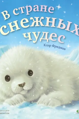 В стране снежных чудес