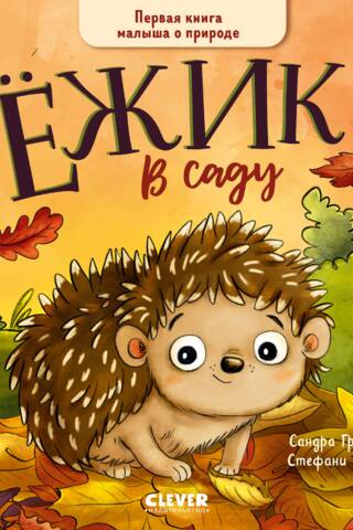 Hedgehog in the Garden: A Child's First Nature Book