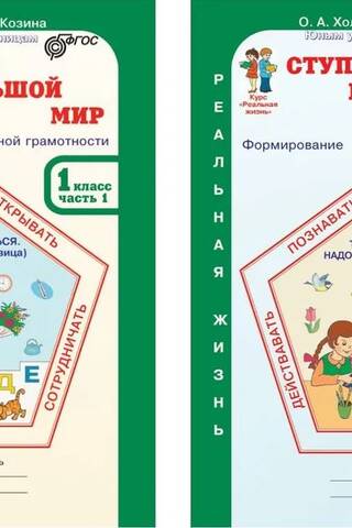 Ступеньки в большой мир. 1 класс. Рабочая тетрадь в 2 частях