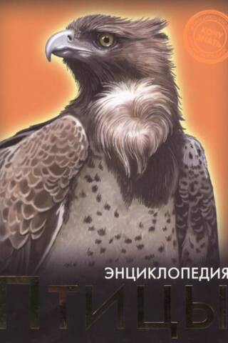 Птицы. Энциклопедия