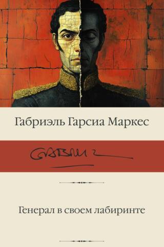 The General in his labyrinth