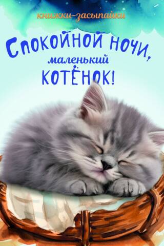 Спокойной ночи, маленький котенок!