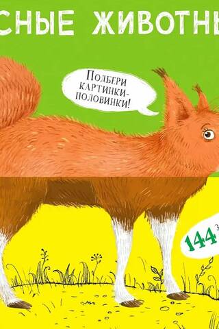 Forest Animals. Pictures - Halves