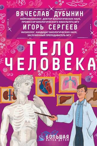 Тело человека