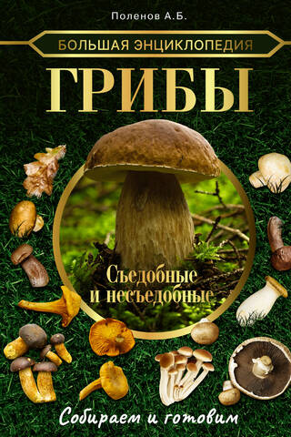 Большая энциклопедия. Грибы. Съедобные и несъедобные. Собираем и готовим.