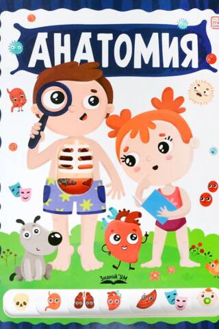 Anatomy
