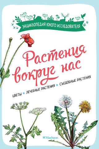 Растения вокруг нас. Цветы. Лечебные растения. Съедобные растения