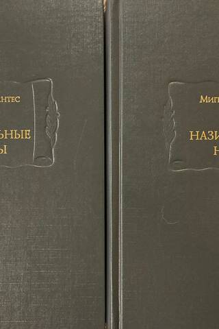 Назидательные новеллы. В 2 томах