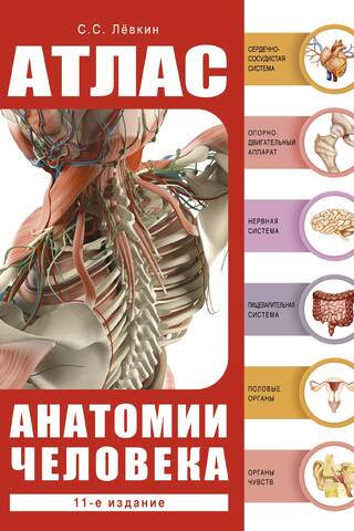 Atlas of Human Anatomy