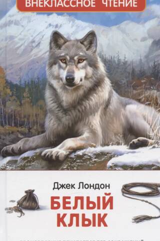 Белый клык