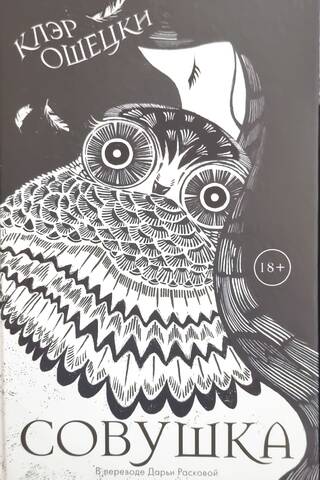 Little owl
