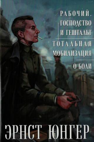 Рабочий. Господство и гештальт. Тотальная мобилизация. О боли
